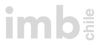 IMB